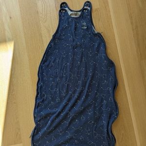 Woolino 4 Season Big Kid sleep bag sack